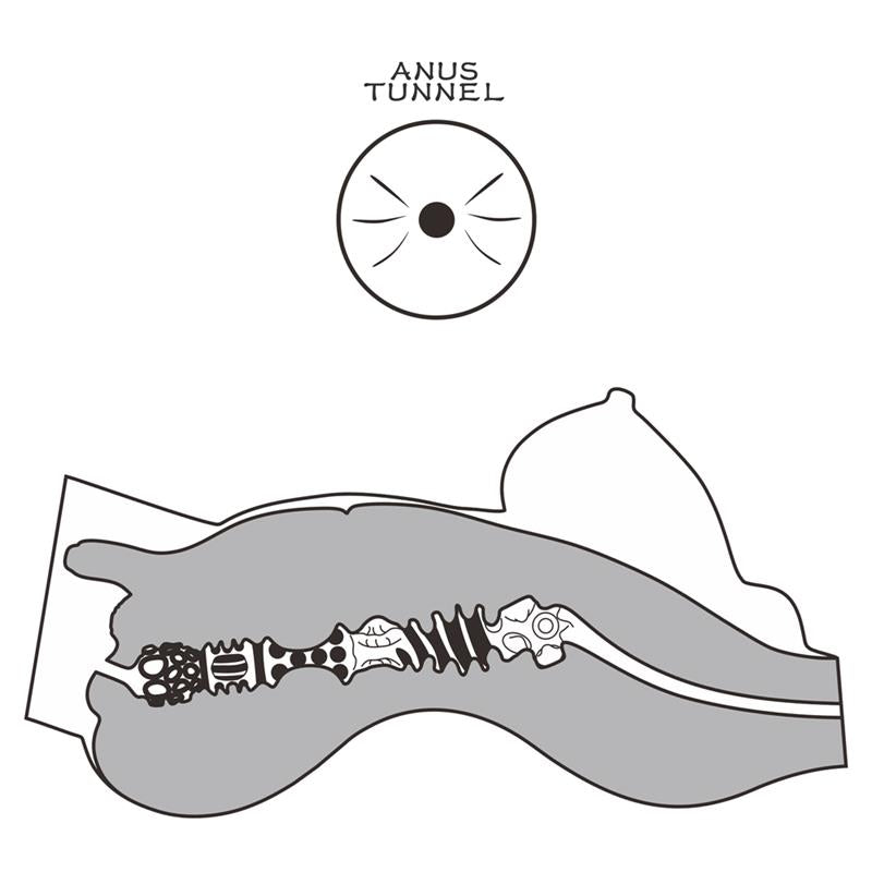 LOVETOY Masturbador Muñeca Realista Torso Trans STREETGIRLS 8