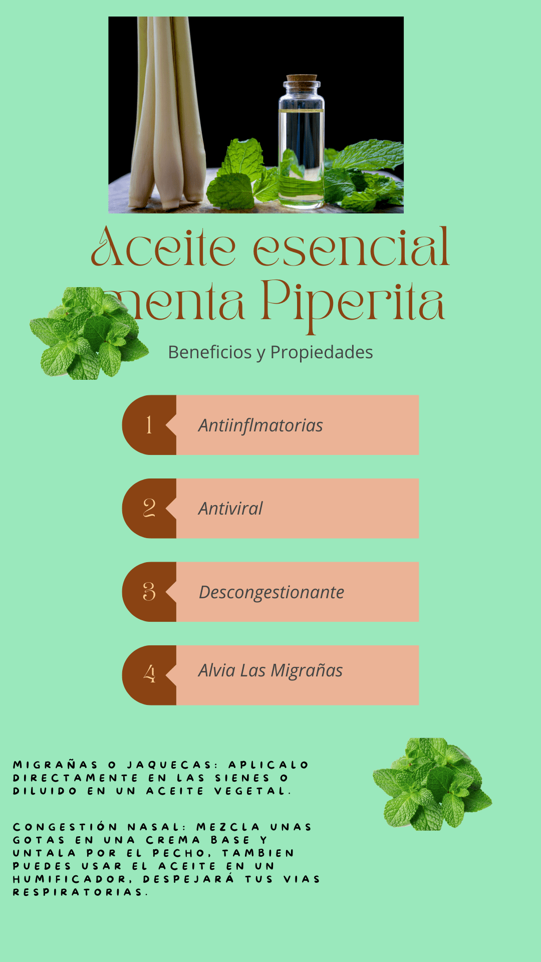 Aceite Esencial Menta Piperita Marnys