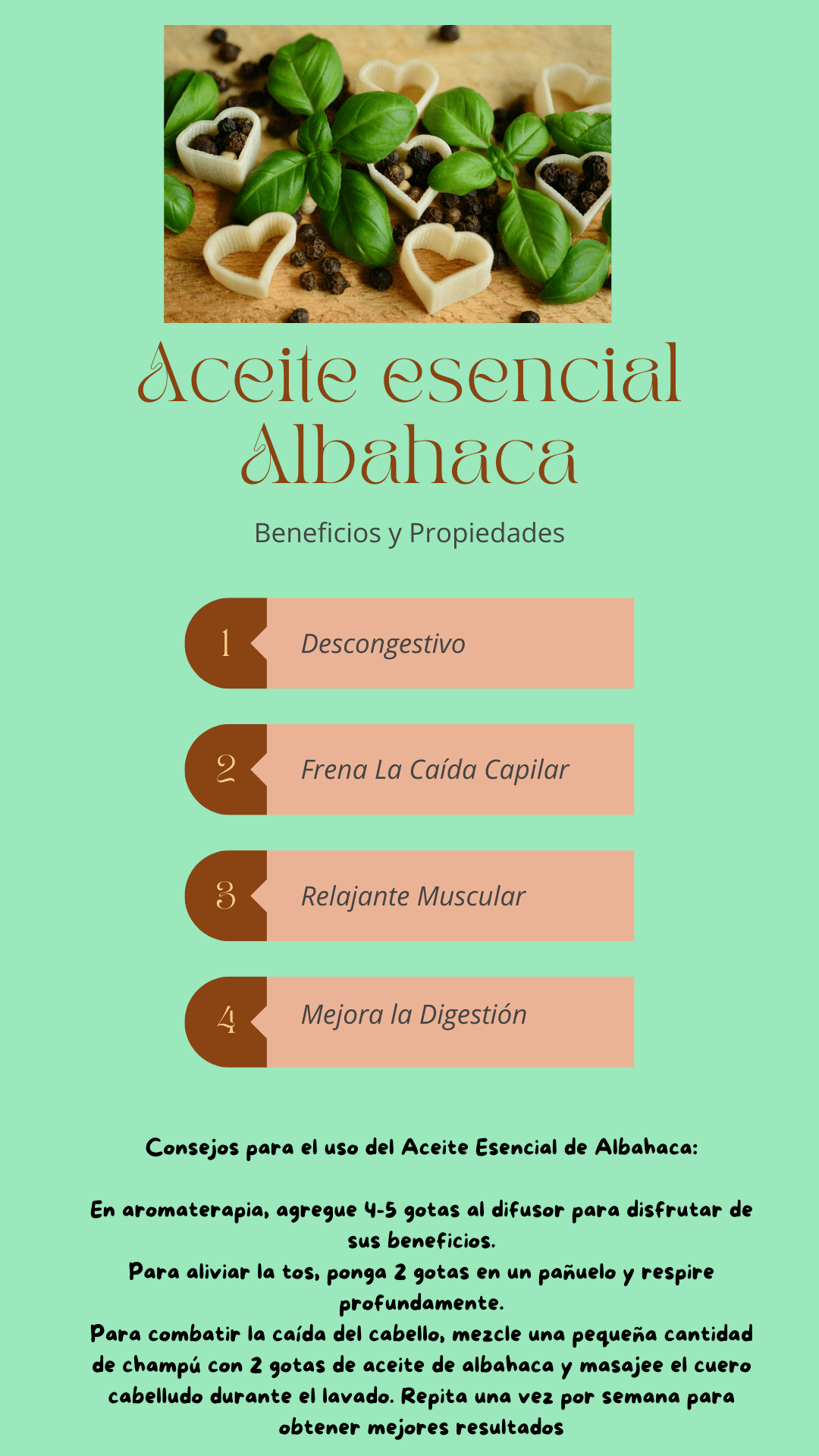 ANCIENT Aceite Esencial Albahaca