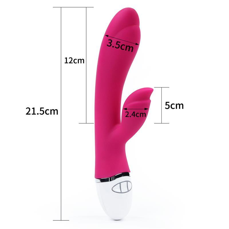 LOVETOY Vibrador Femenino DREAMER II USB ROSE RED